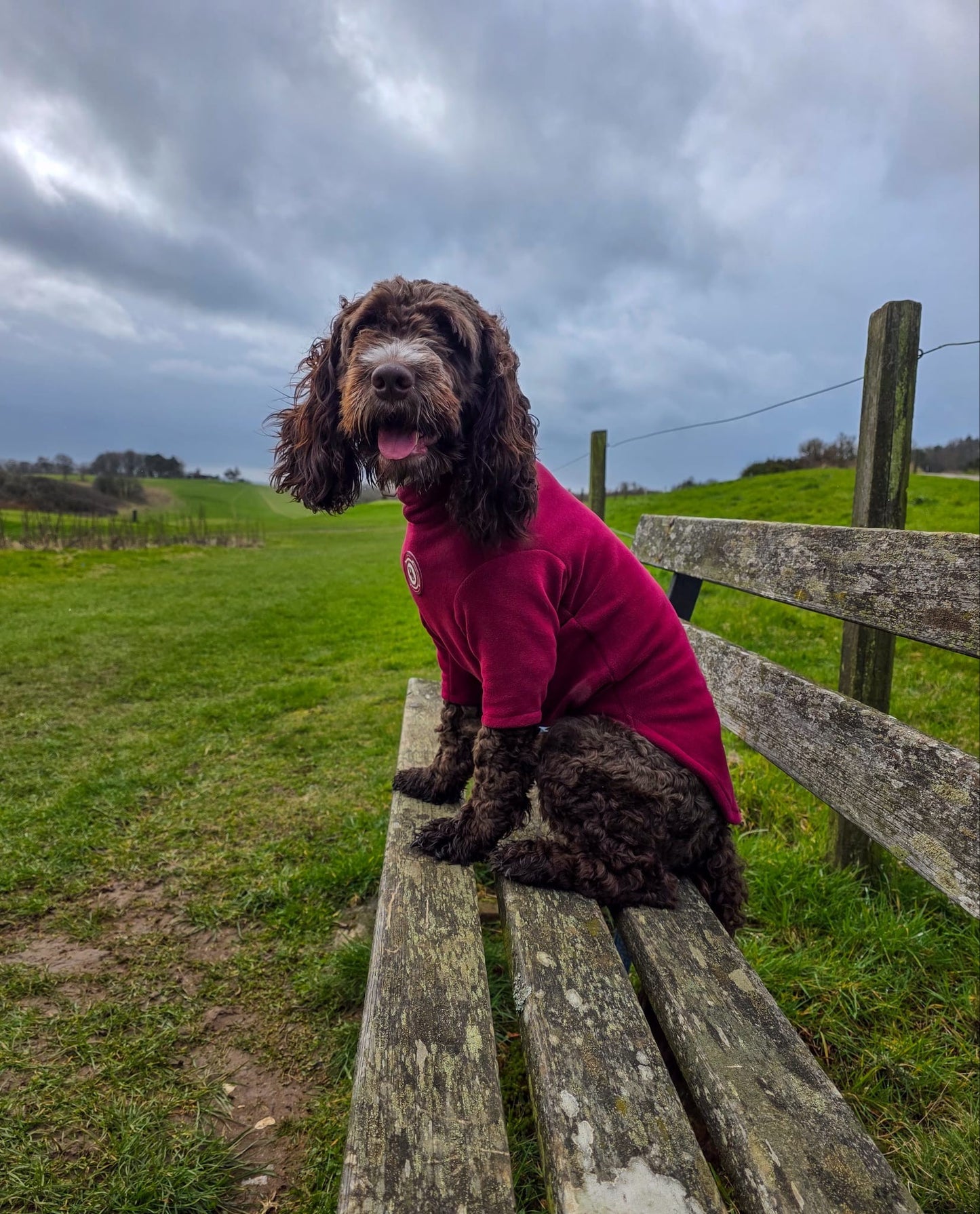 Berry Moors 2-Legged Fleece Jumper