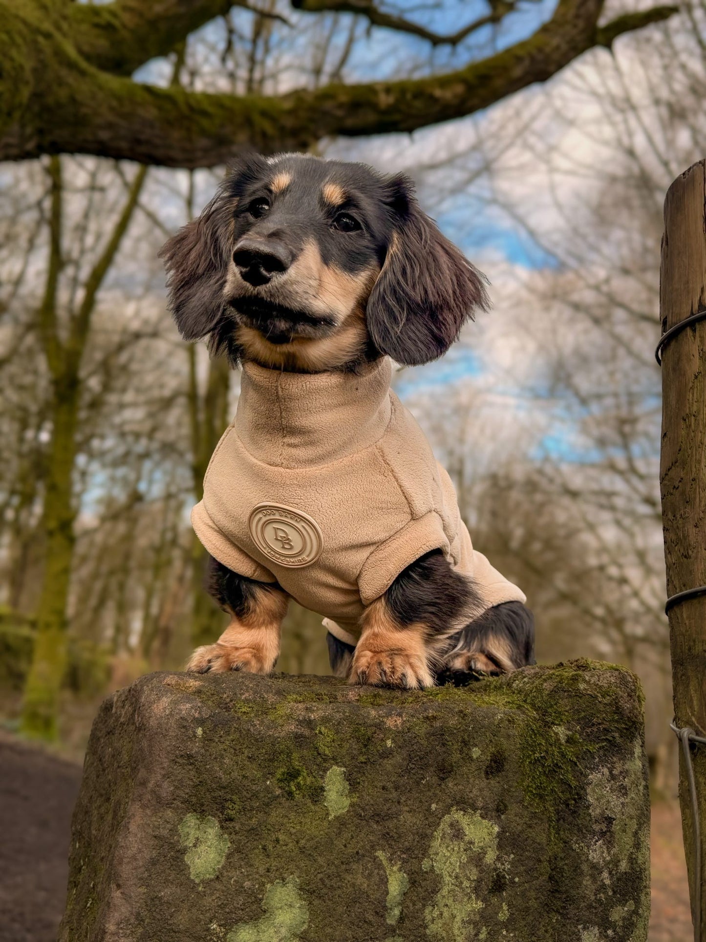 Barley Vale Dachshund Fleece