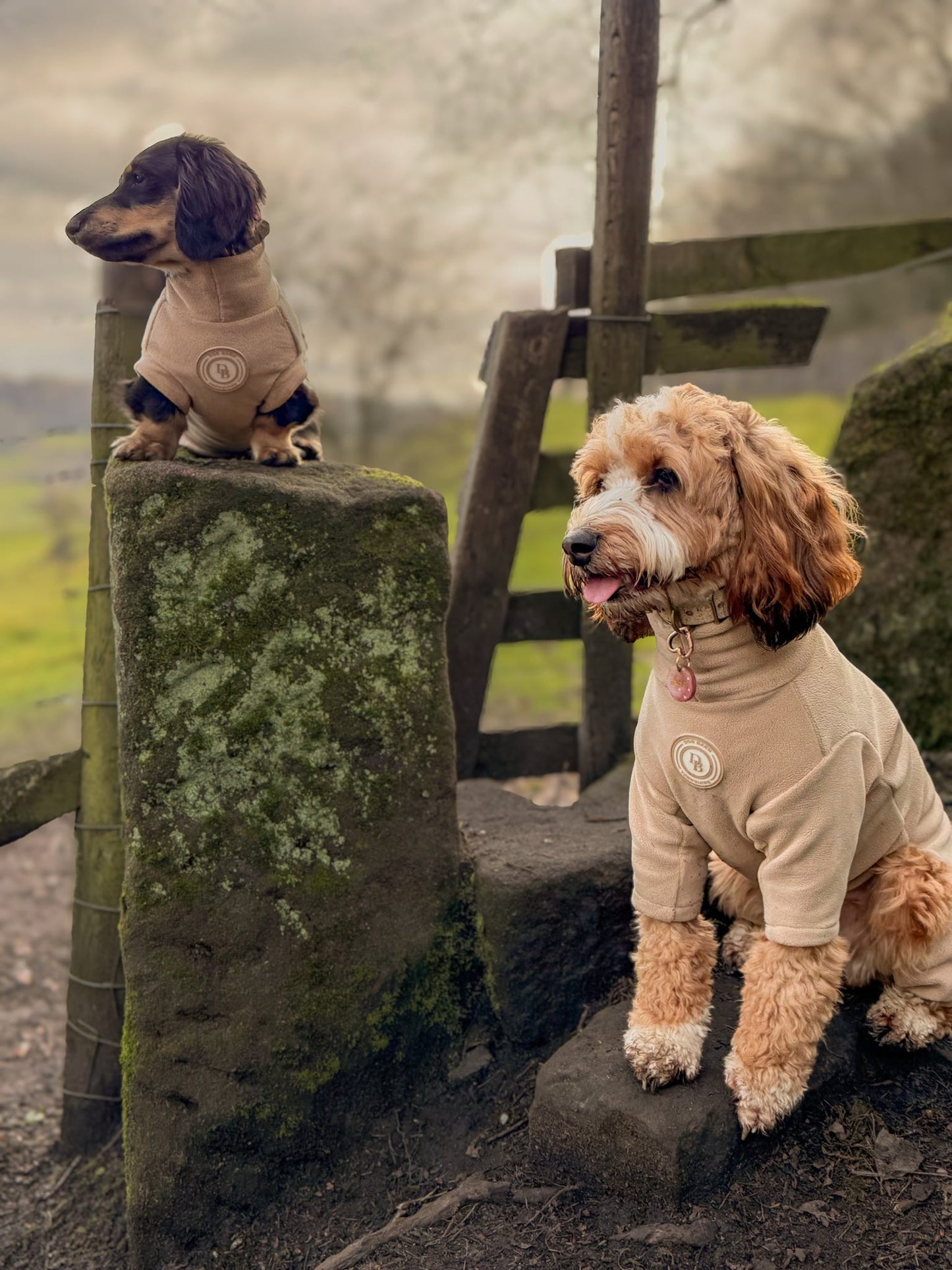 Barley Vale Fleece Suit
