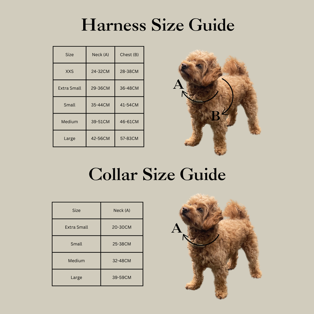 Lavender Meadow Harness Bundle