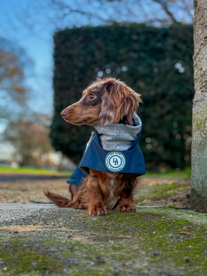 Dachshund Starlit Meadow Winter Rain Jacket (Fleece Lined)