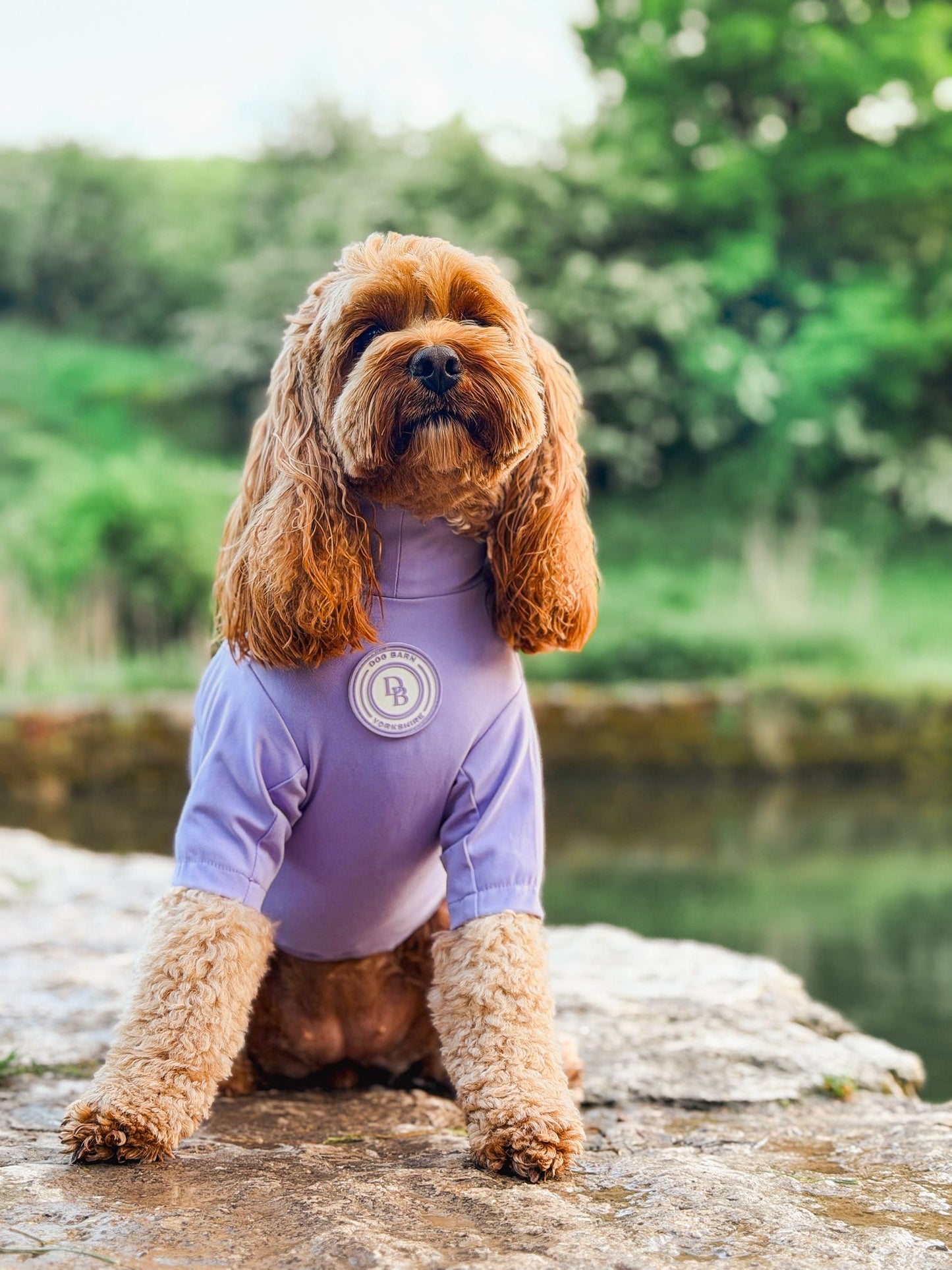 Lavender Meadow Summer Suit
