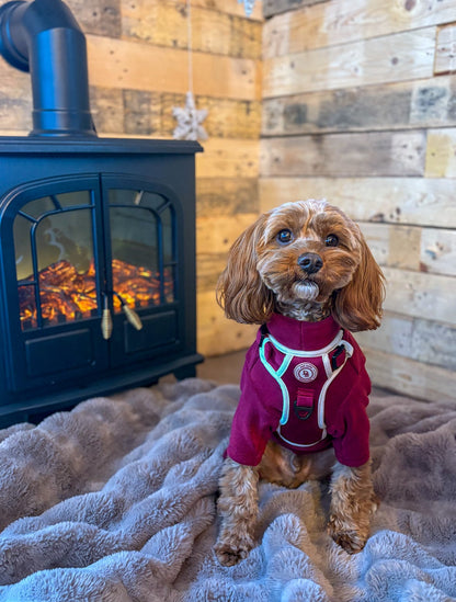 Berry Moors Adventurer Harness (Corded Material)