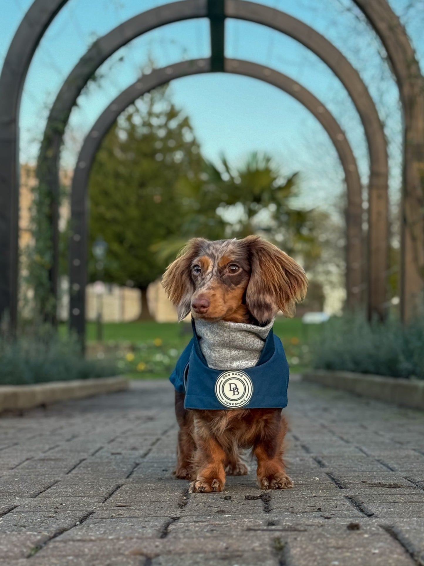 Dachshund Starlit Meadow Winter Rain Jacket (Fleece Lined)