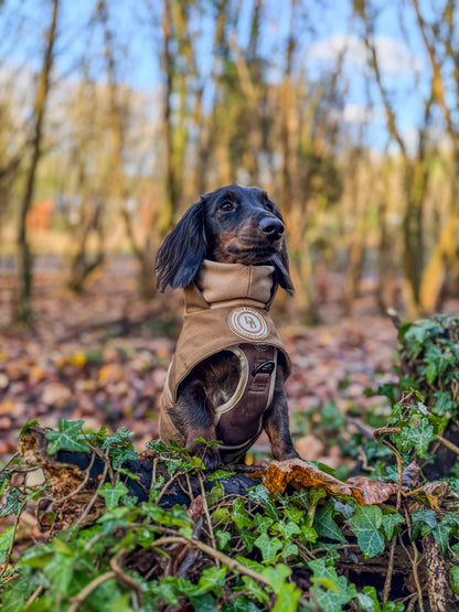 Dachshund Chestnut Trail Winter Rain Jacket (Fleece Lined)