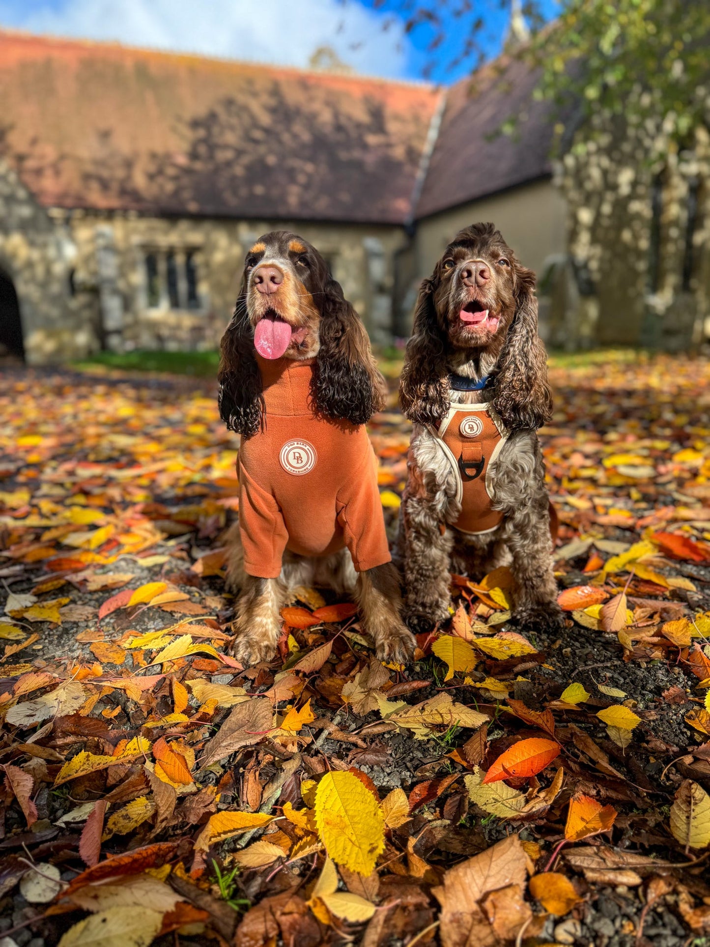 Autumn Spice Adventurer Harness