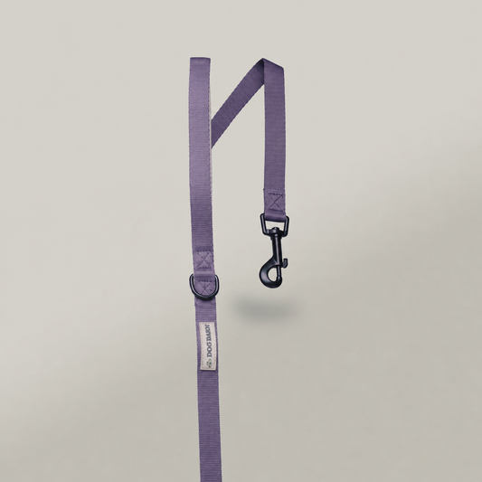 Lavender Meadow Adventurer Lead (Corded Material)
