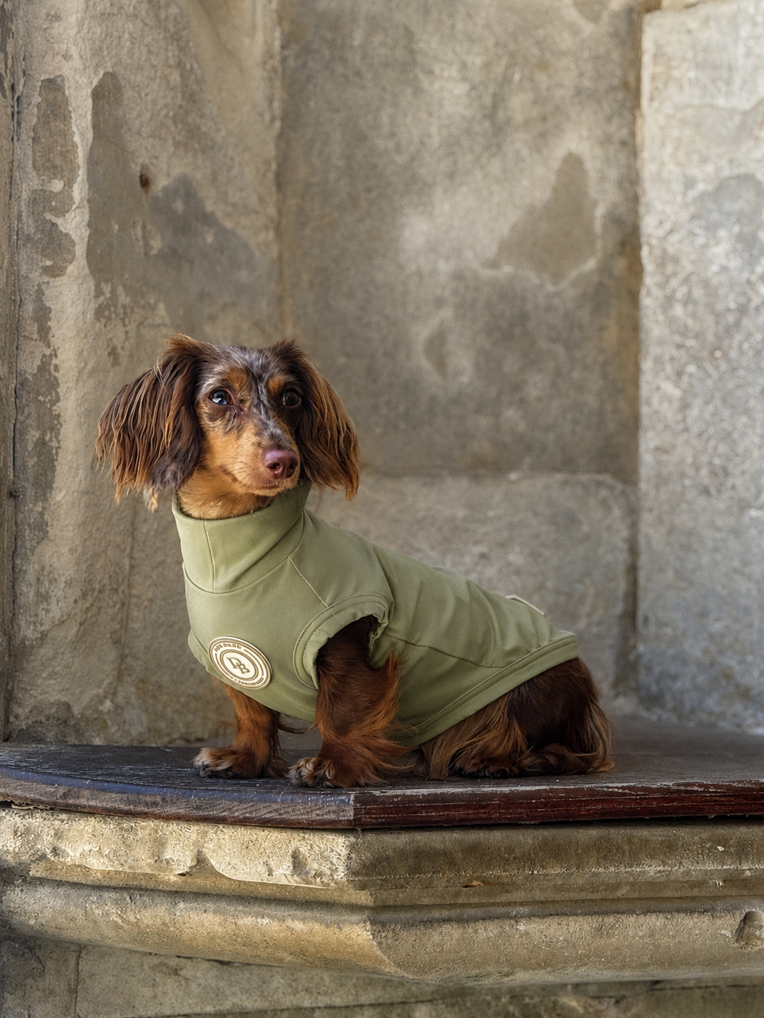 Dachshund Forest Glade Summer T-Shirt