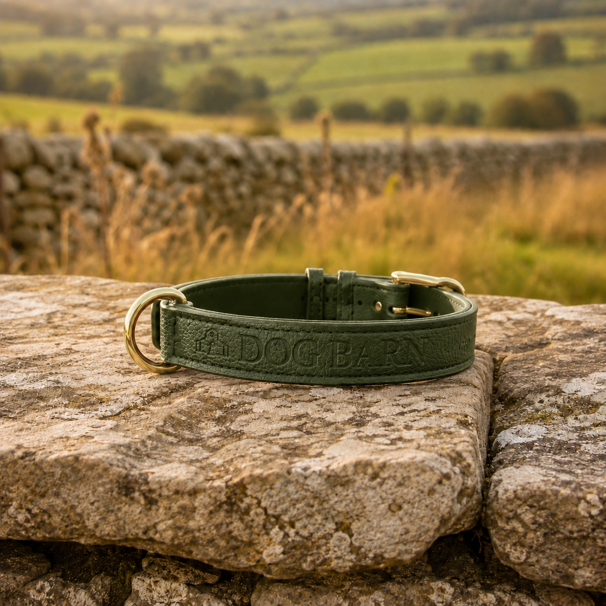 Forest Glade Heritage Leather Collar