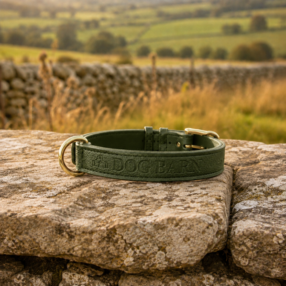 Forest Glade Heritage Leather Collar
