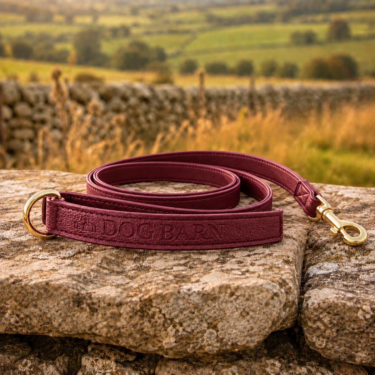 Berry Moors Heritage Leather Lead