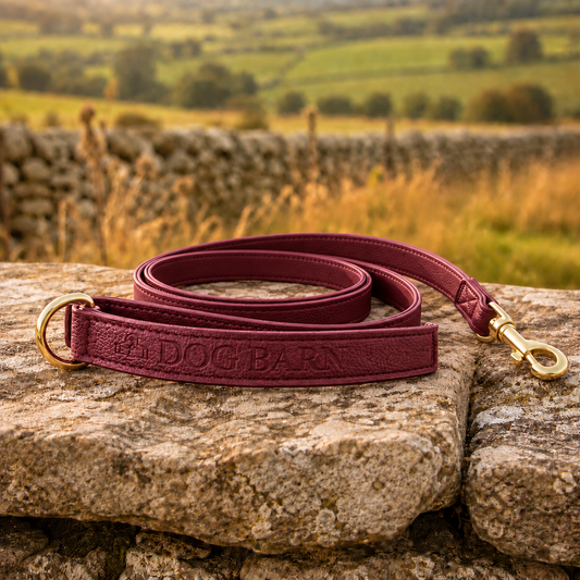 Berry Moors Heritage Leather Lead