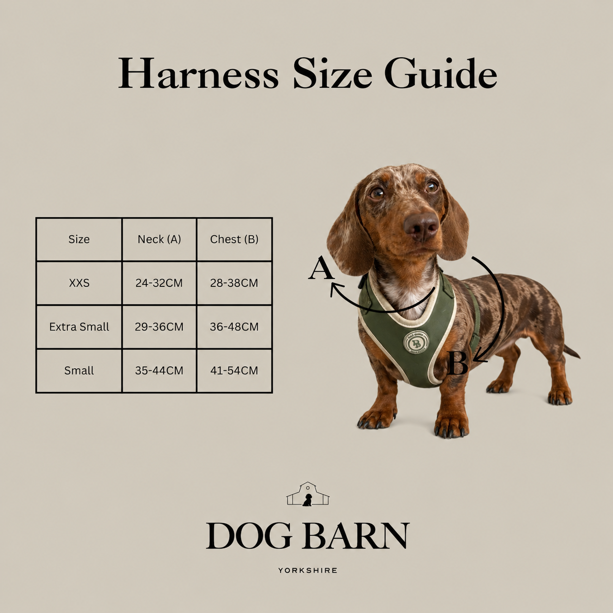 Dachshund Forrest Glade Harness