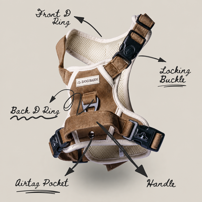 Dachshund Forest Glade Adventurer Harness