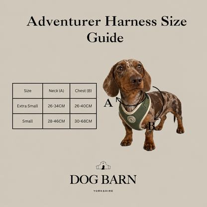 Dachshund Forest Glade Adventurer Harness