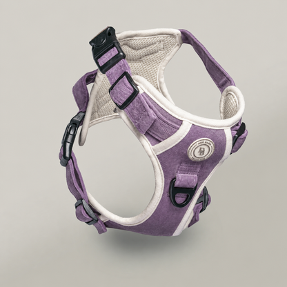 Dachshund Lavender Meadow Adventurer Harness (Corded Material)