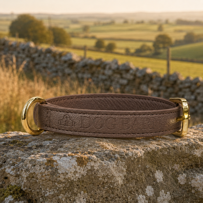 Chestnut Trail Heritage Leather Collar