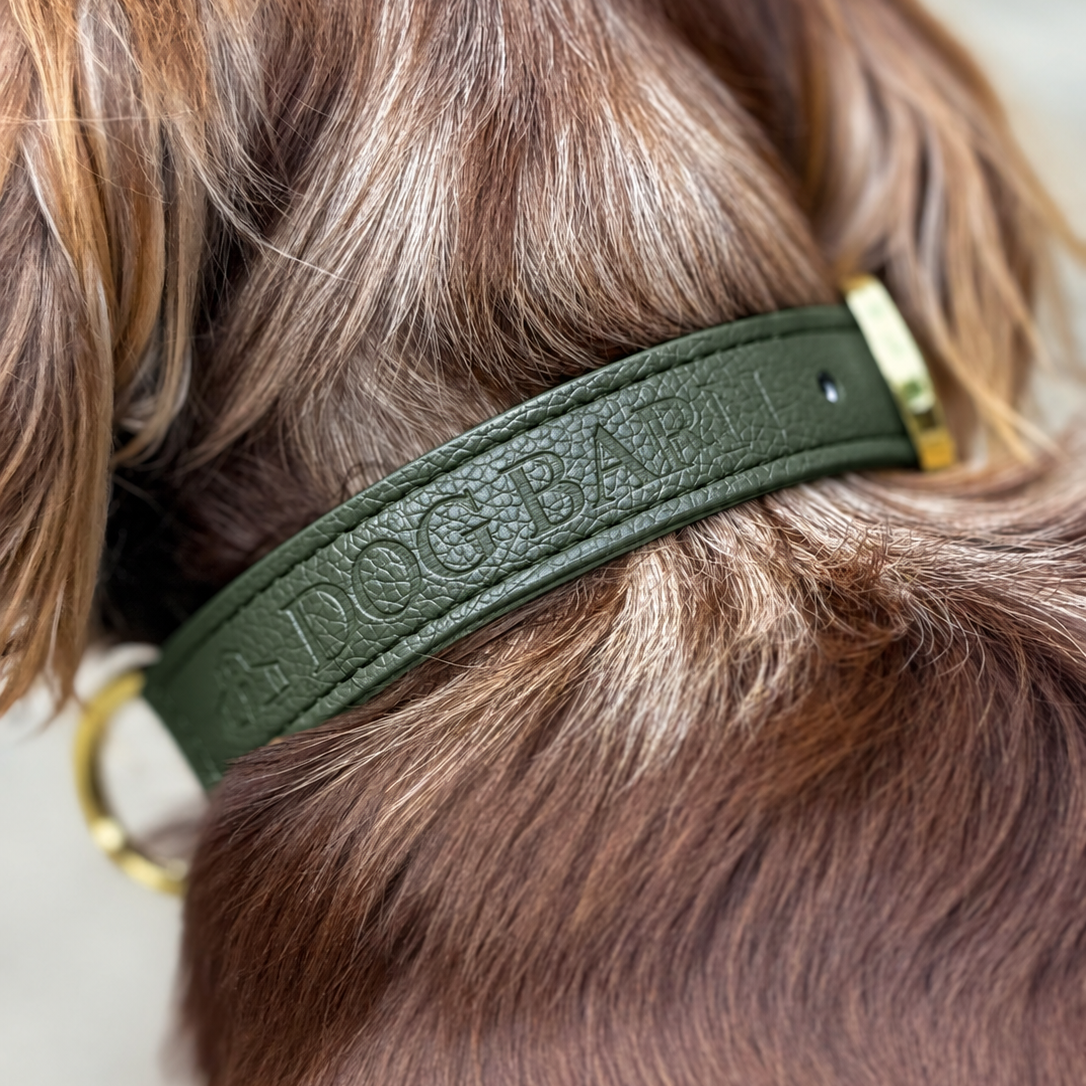 An olive green leather dog collar with gold hardware, shown worn on a brown dog's neck. The collar features the brand name 'DOG BAGS' embossed on the strap.