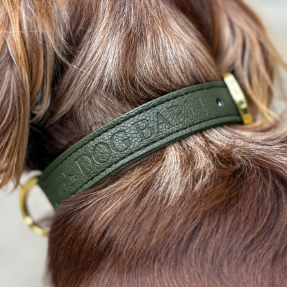 An olive green leather dog collar with gold hardware, shown worn on a brown dog's neck. The collar features the brand name 'DOG BAGS' embossed on the strap.