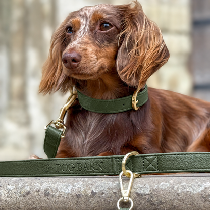 Forest Glade Heritage Leather Collar