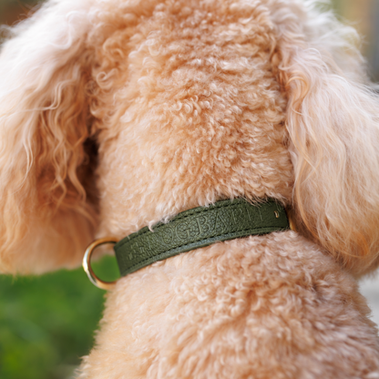 Forest Glade Heritage Leather Collar