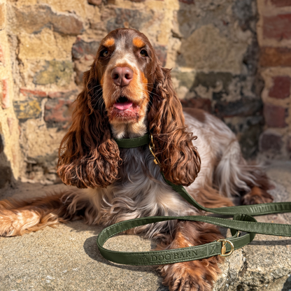 Forest Glade Heritage Leather Lead