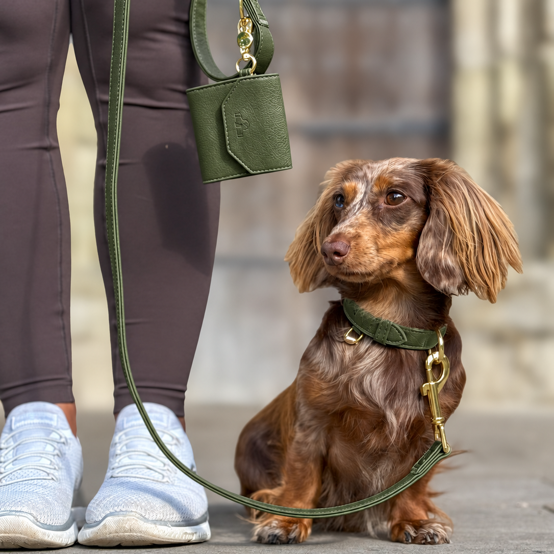 A brown dachshund wearing an olive green collar and leash sits on a stone ledge next to a person wearing dark leggings and white sneakers, holding a matching small green handbag.