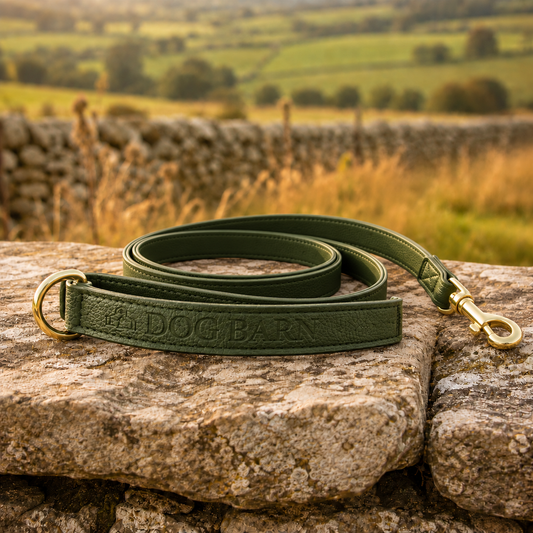 Forest Glade Heritage Leather Lead