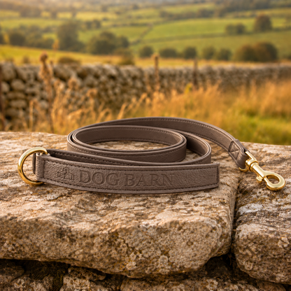 Chestnut Trail Heritage Leather Lead