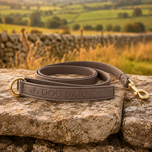 Chestnut Trail Heritage Leather Lead