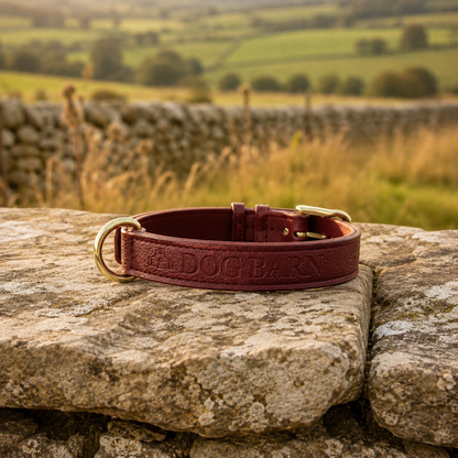 Berry Moors Heritage Leather Collar