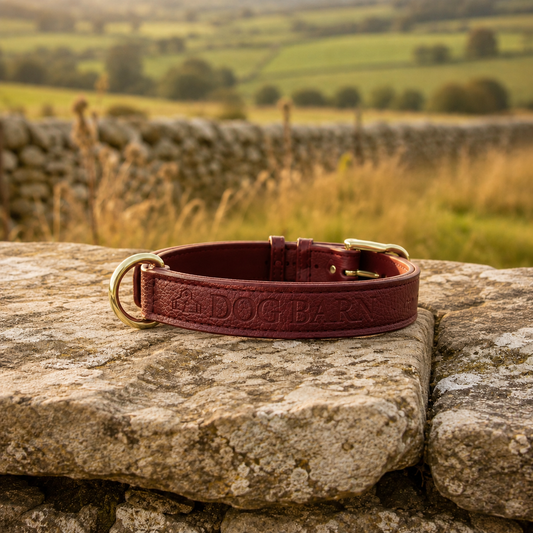 Berry Moors Heritage Leather Collar