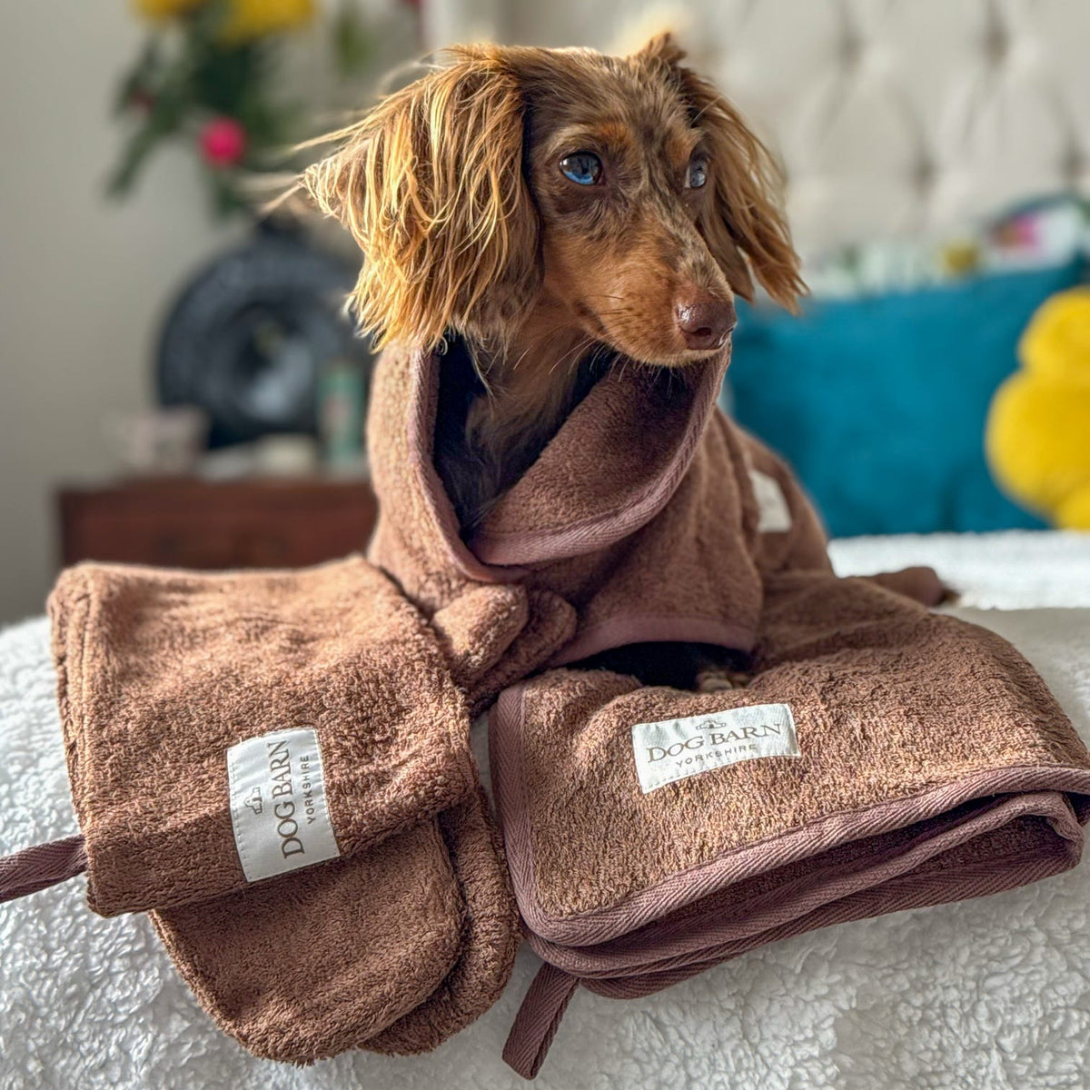 A small brown dog wrapped in a matching brown plush towel set, including a hooded towel and a folded bath towel, placed on a bed in a bedroom setting.