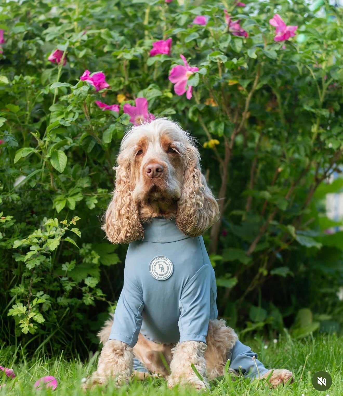Blue Sky Moor Summer Suit