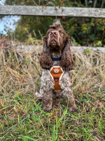 Autumn Spice Adventurer Harness
