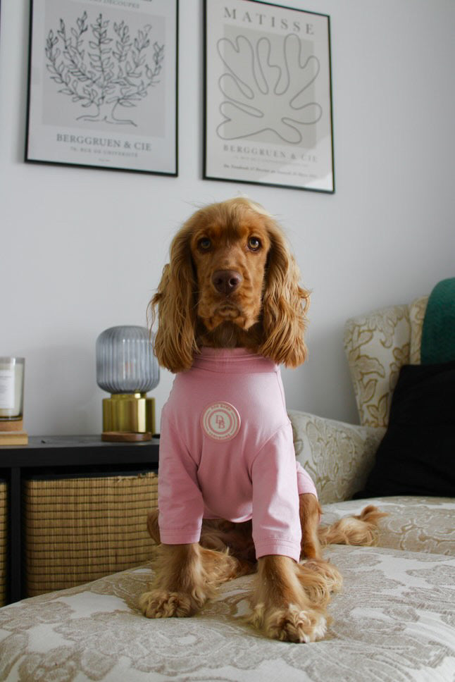 Blush Petal Summer T Shirt
