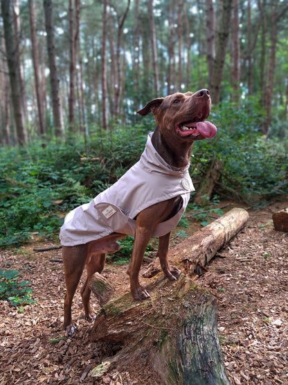 Truffle Dusk Rain Jacket