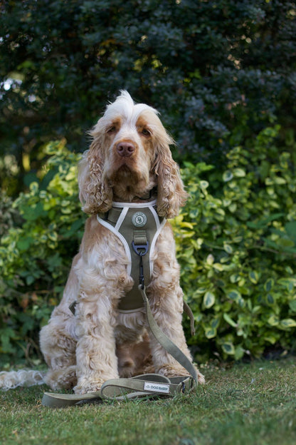Forest Glade Adventurer Harness (Corded Material)