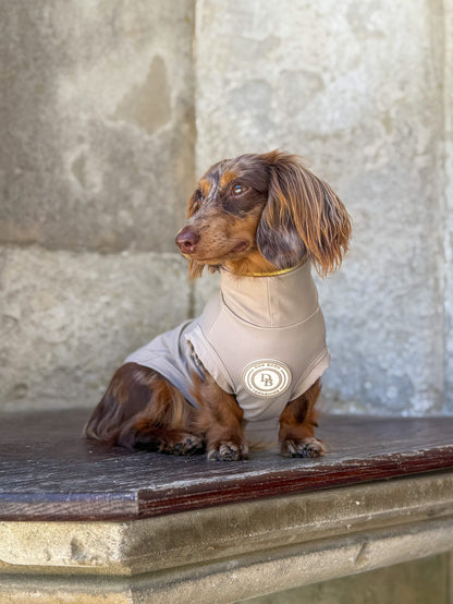 Dachshund Truffle Dusk Summer T-Shirt
