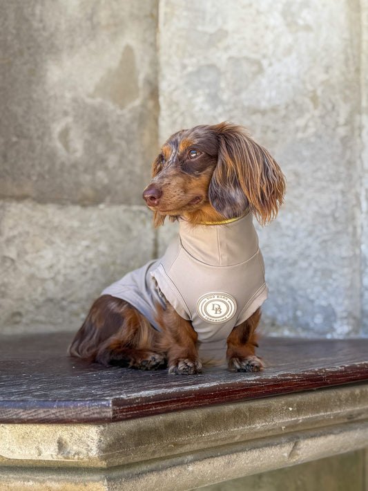 Dachshund Truffle Dusk Summer T-Shirt