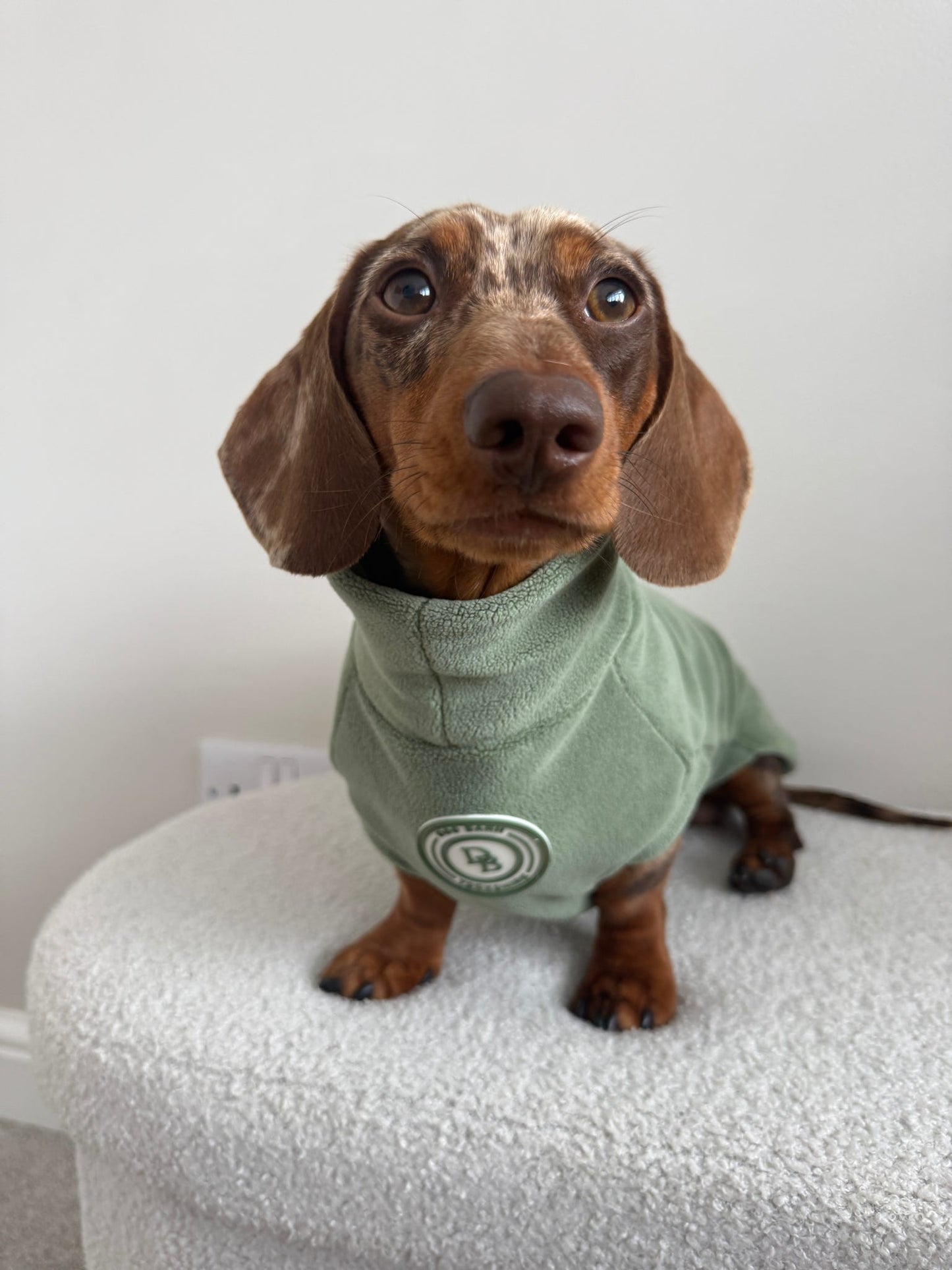 Forest Glade Dachshund Fleece