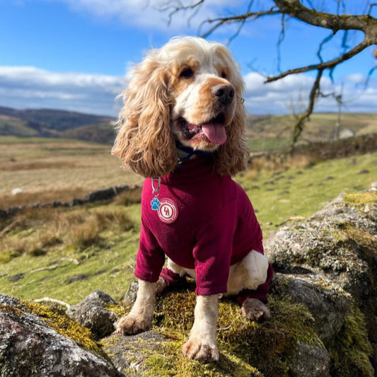 Berry Moors Fleece Suit