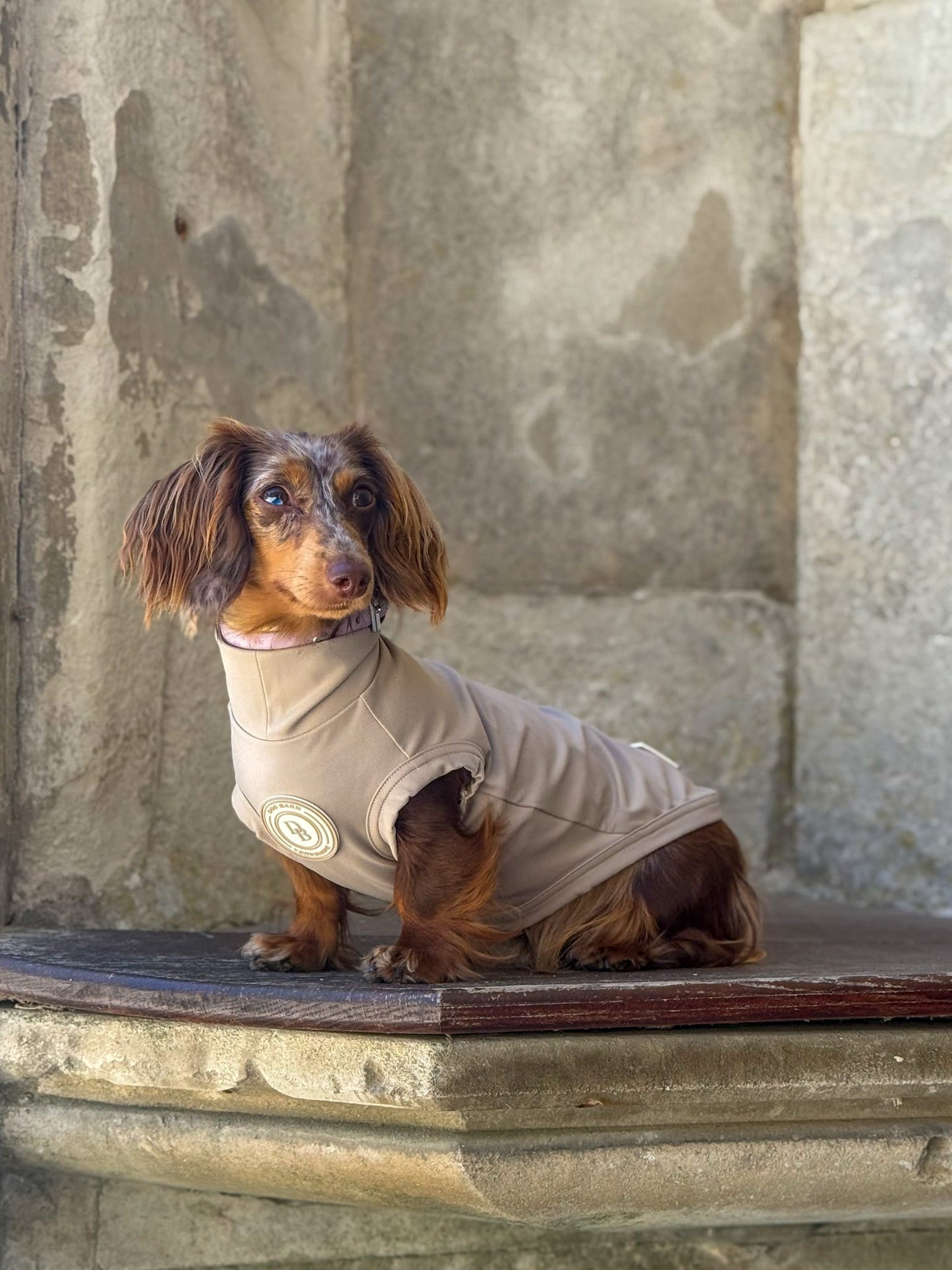 Dachshund Truffle Dusk Summer T-Shirt