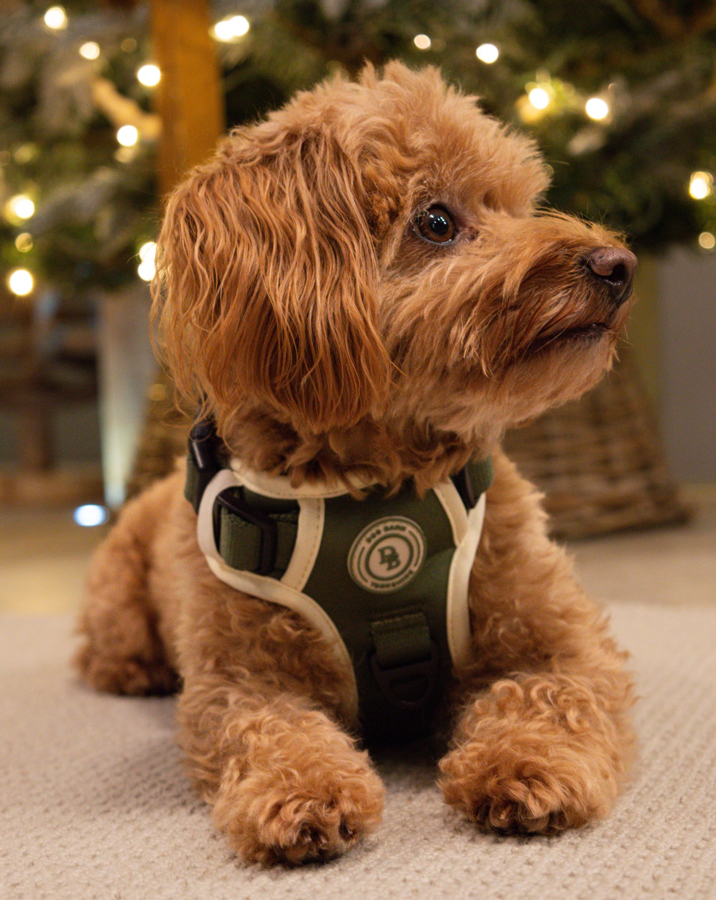 Forest Glade Adventurer Harness