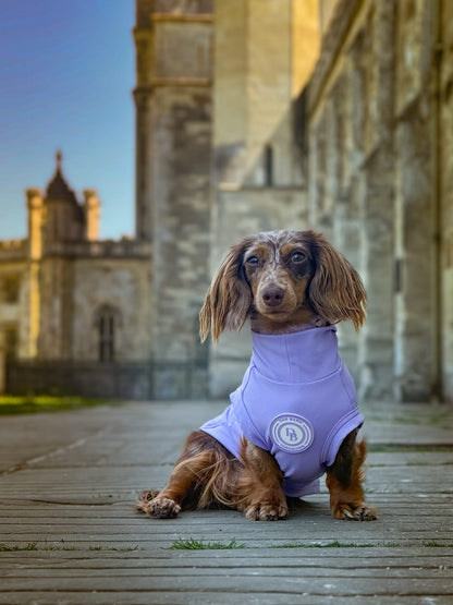 Dachshund Lavender Meadow Summer T-Shirt