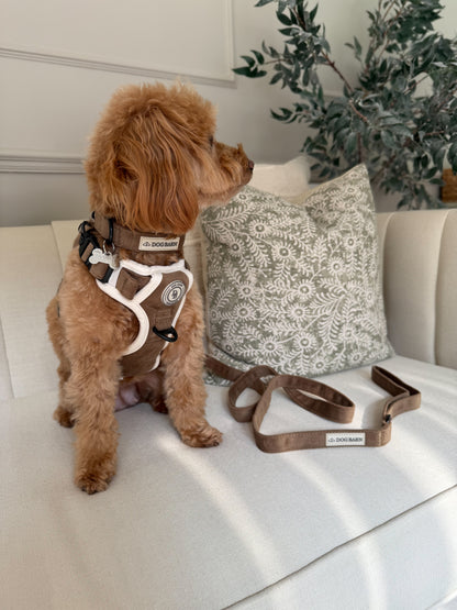 Chestnut Trail Adventurer Harness
