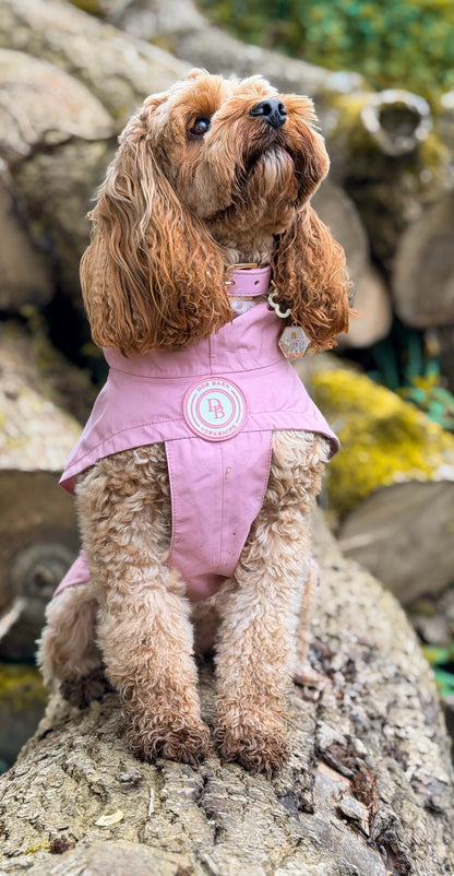Blush Petal Rain Jacket