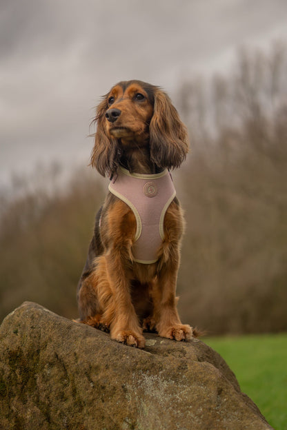 Blush Petal Tweed Harness
