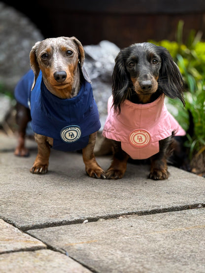 Dachshund Blush Petal Rain Jacket