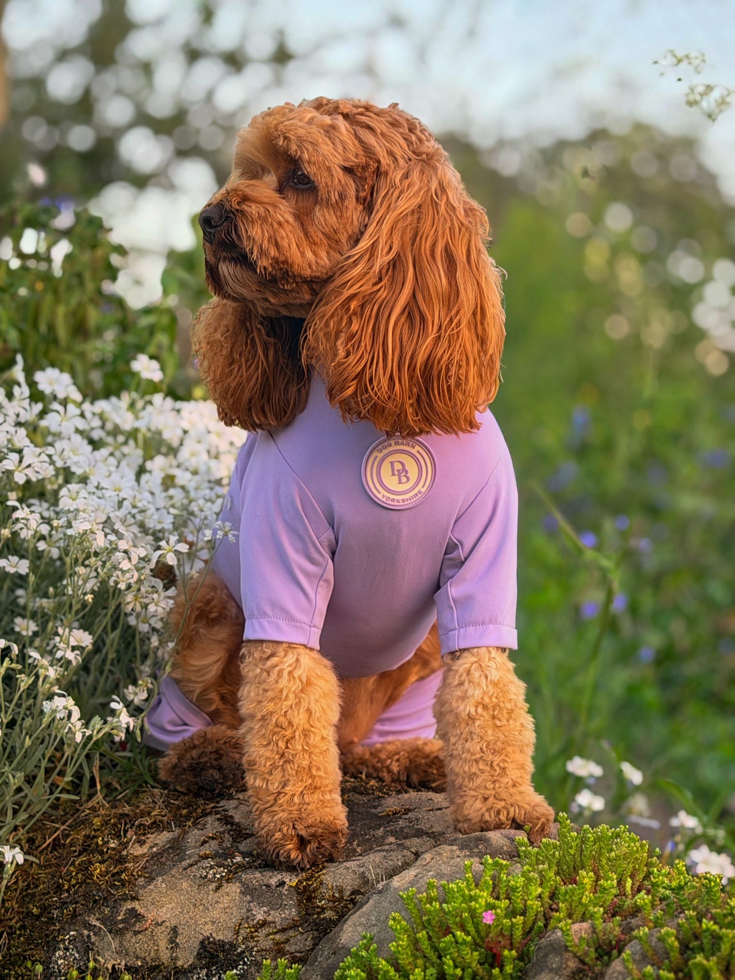 Lavender Meadow Summer Suit